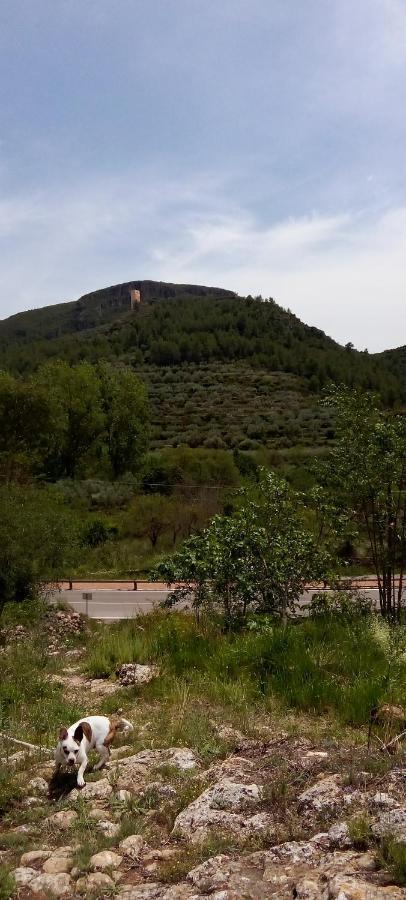 La Viajera Espadan Algimia de Almonacid Kültér fotó
